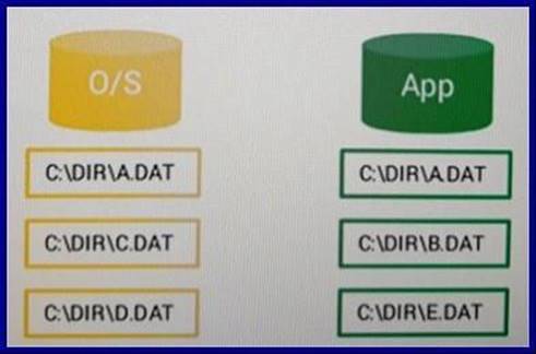 Exam CCP Quizzes